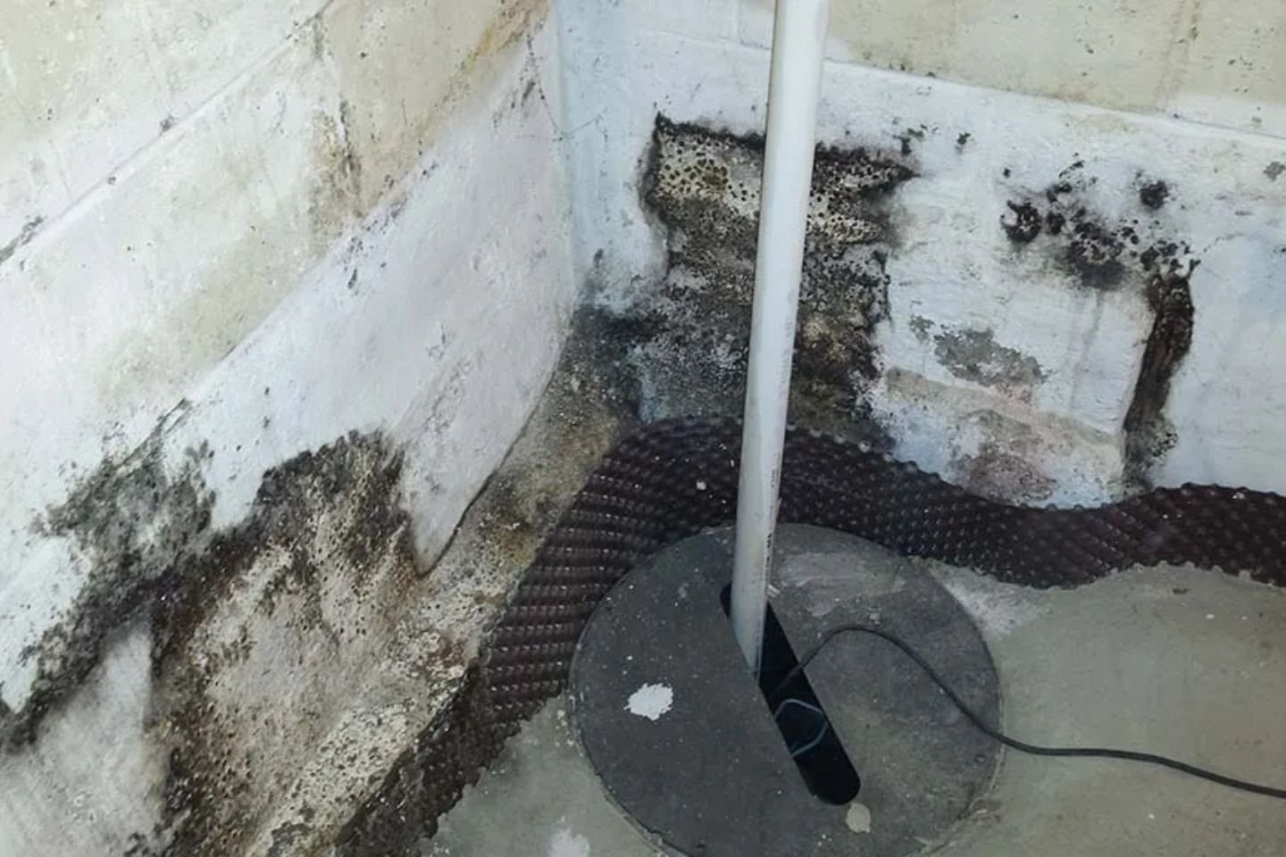 Professionals conducting mold removal in a New York basement, emphasizing effective remediation techniques.
