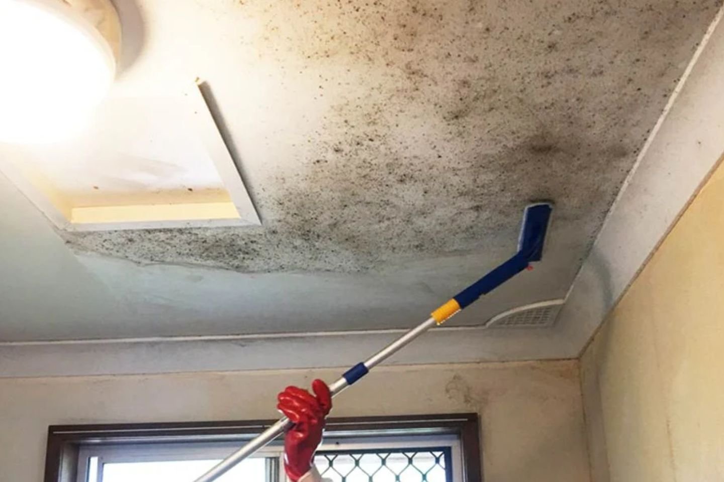 Individual cleaning a ceiling with a mop, representing a mold removal service in a bathroom in Orlando, FL.