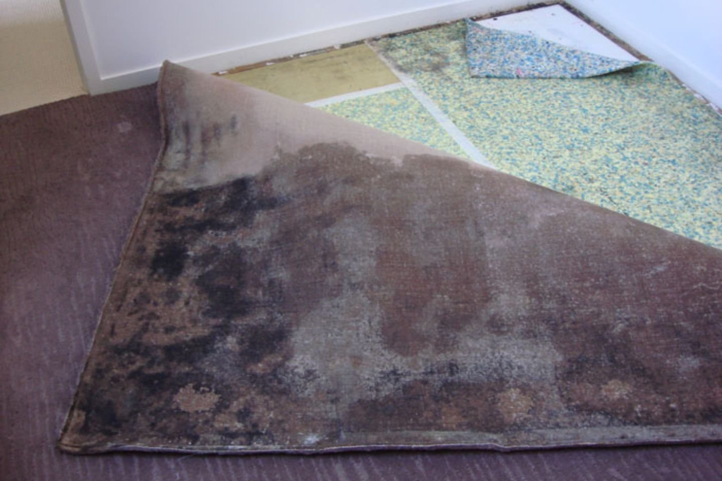 A grimy rug on the floor, illustrating the need for carpet mold removal services available in Orlando, FL.