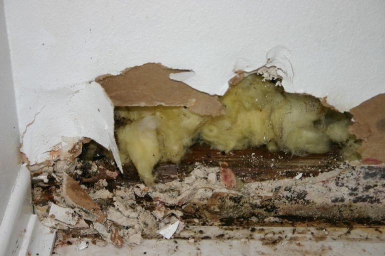 Close-up of mold in a bathroom, highlighting dark spots on surfaces, suggesting damp conditions and the need for cleaning.