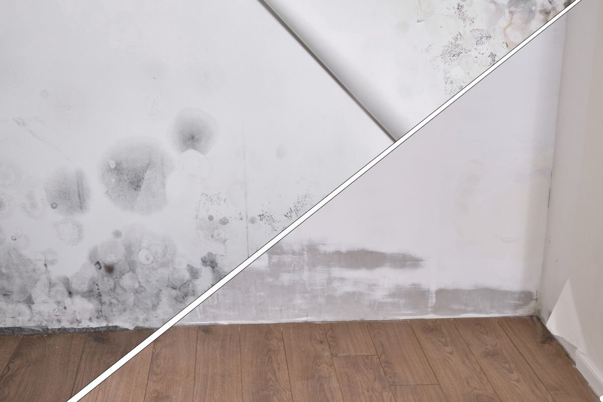 A diagonal split image shows a wall with mold and stains on the left, contrasting with a clean, recently repaired wall on the right.