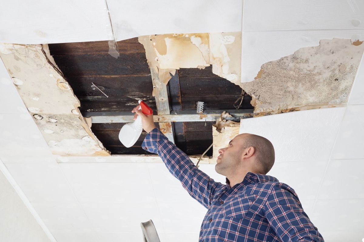 A person in a checkered shirt sprays a cleaning solution at water-damaged drywall, revealing deteriorated wood and mold.