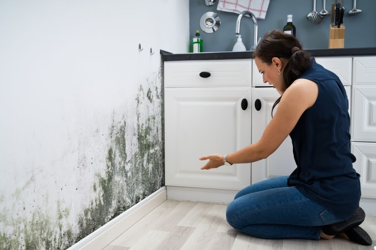 A person kneels on the floor, examining a wall with visible mold growth beside kitchen cabinets, indicating a maintenance issue.