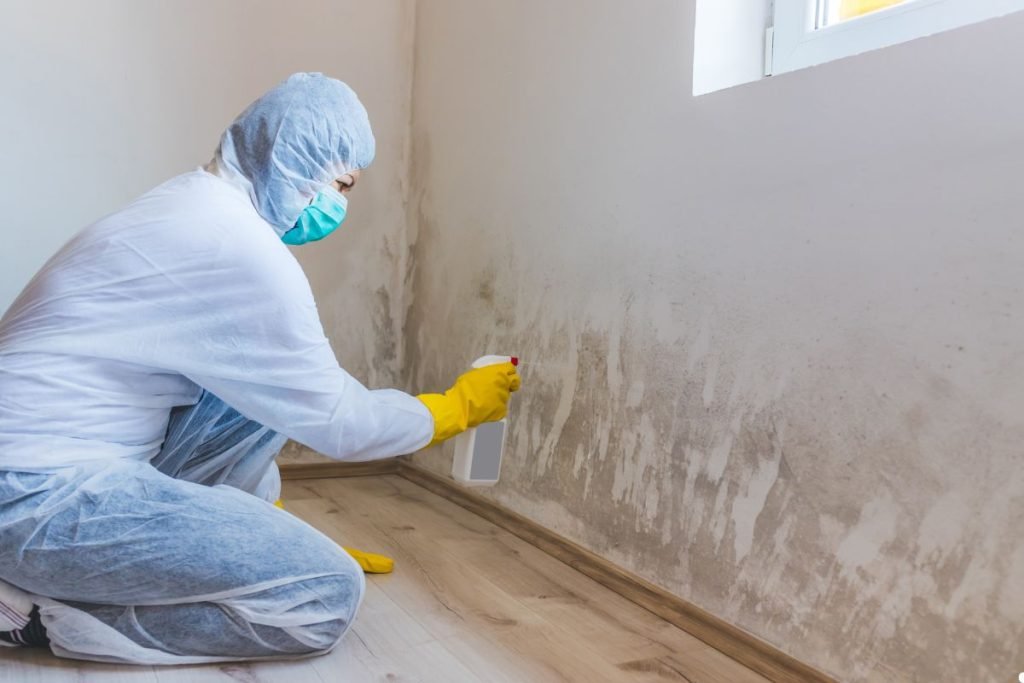 A person in protective gear sprays a moldy wall, focusing on cleaning in a bright room with a window.