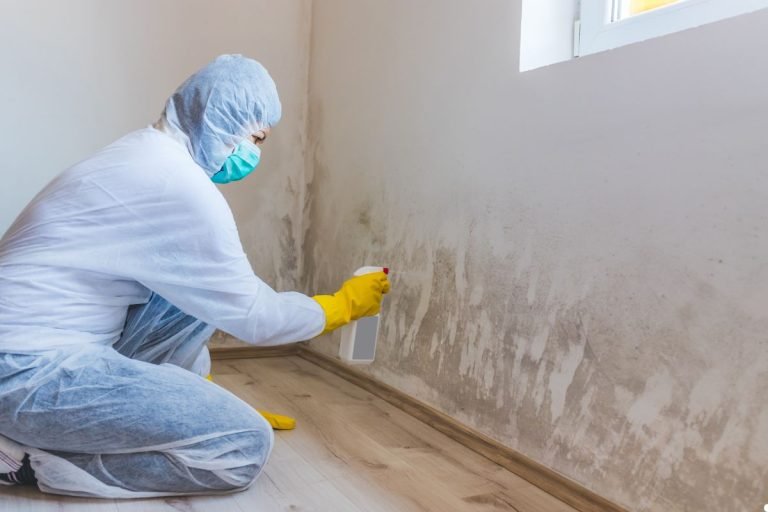 A person in protective gear sprays a moldy wall, focusing on cleaning in a bright room with a window.